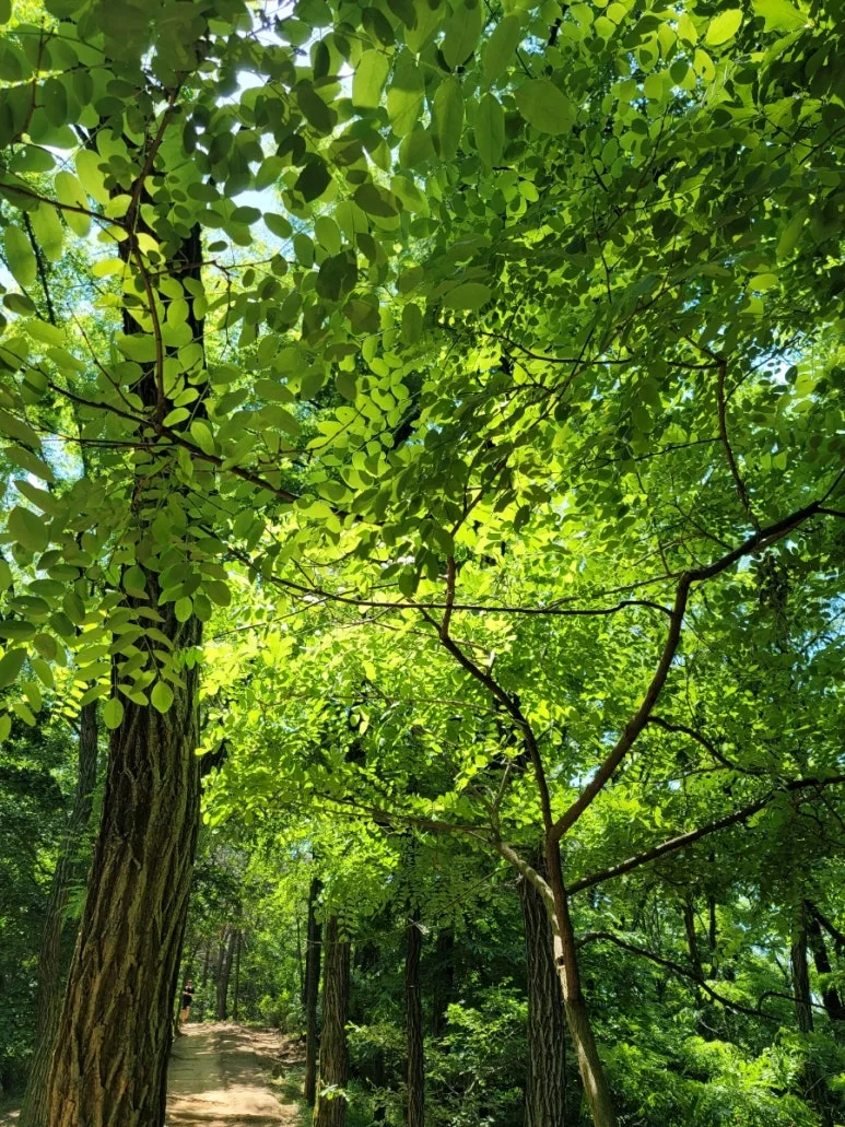 20240602%EF%BC%BF114052.jpg?type=w773