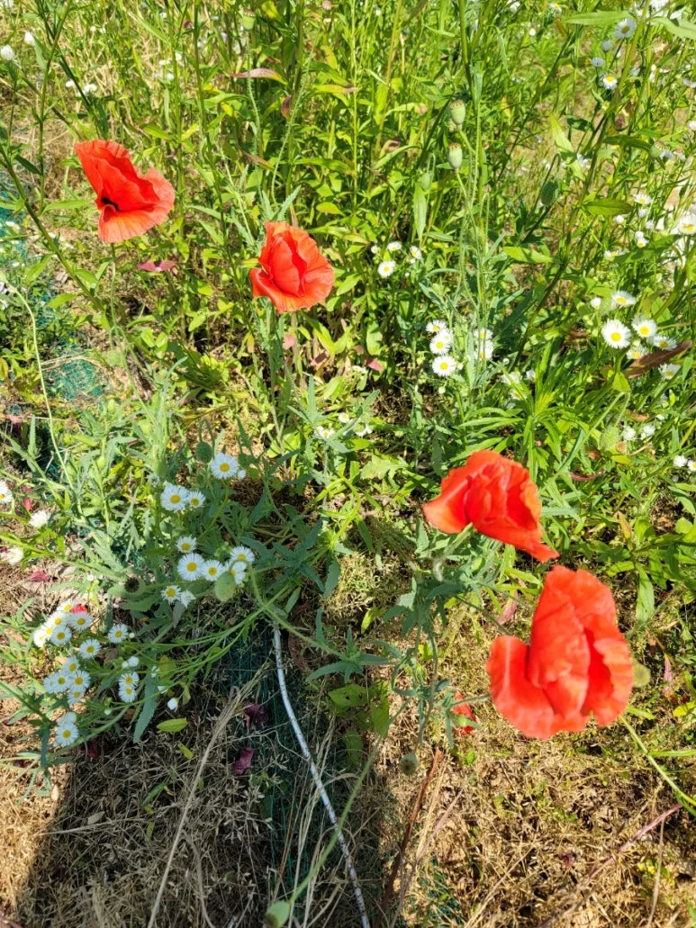 20240602%EF%BC%BF092912.jpg?type=w773