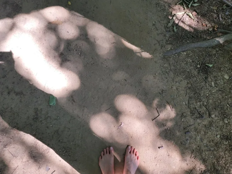 20240531%EF%BC%BF153608.jpg?type=w773