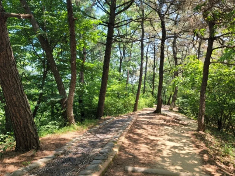 20240602%EF%BC%BF121732.jpg?type=w773