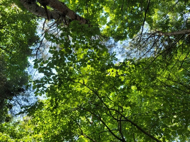 20240602%EF%BC%BF104054.jpg?type=w773