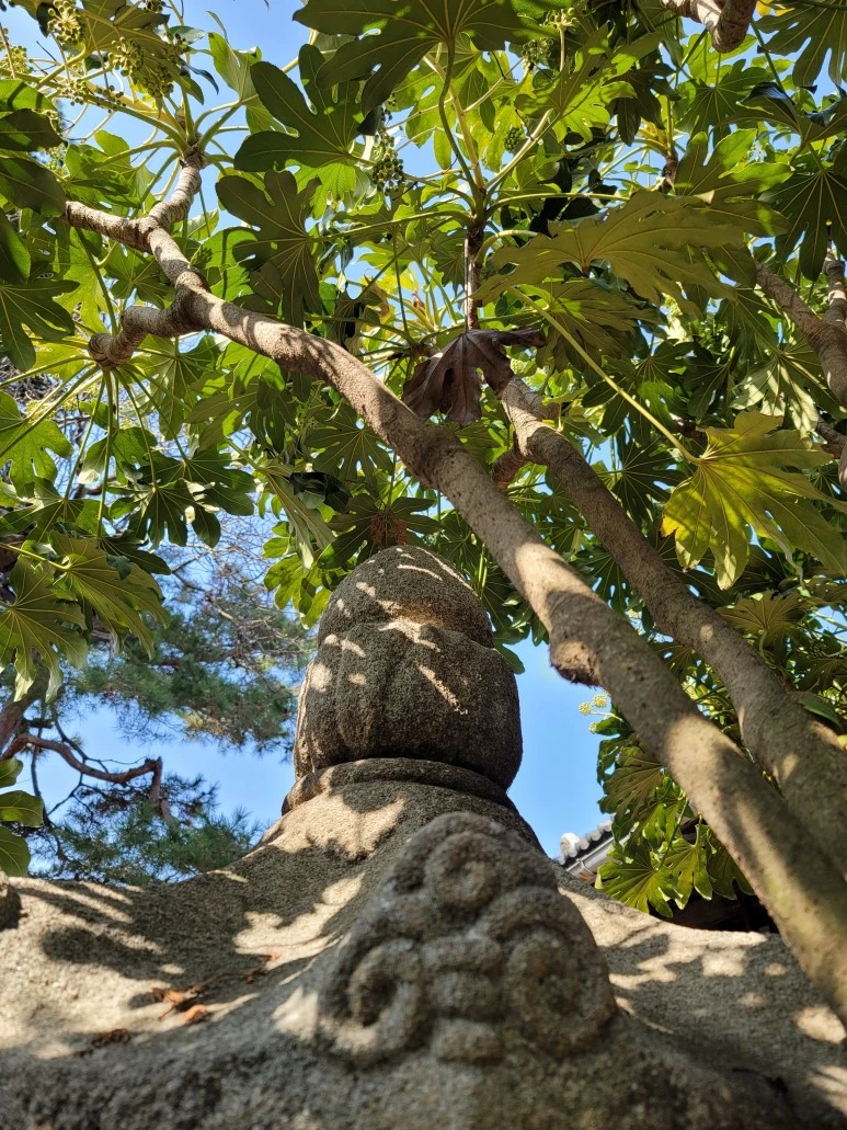 20240316_103341.jpg?type=w773