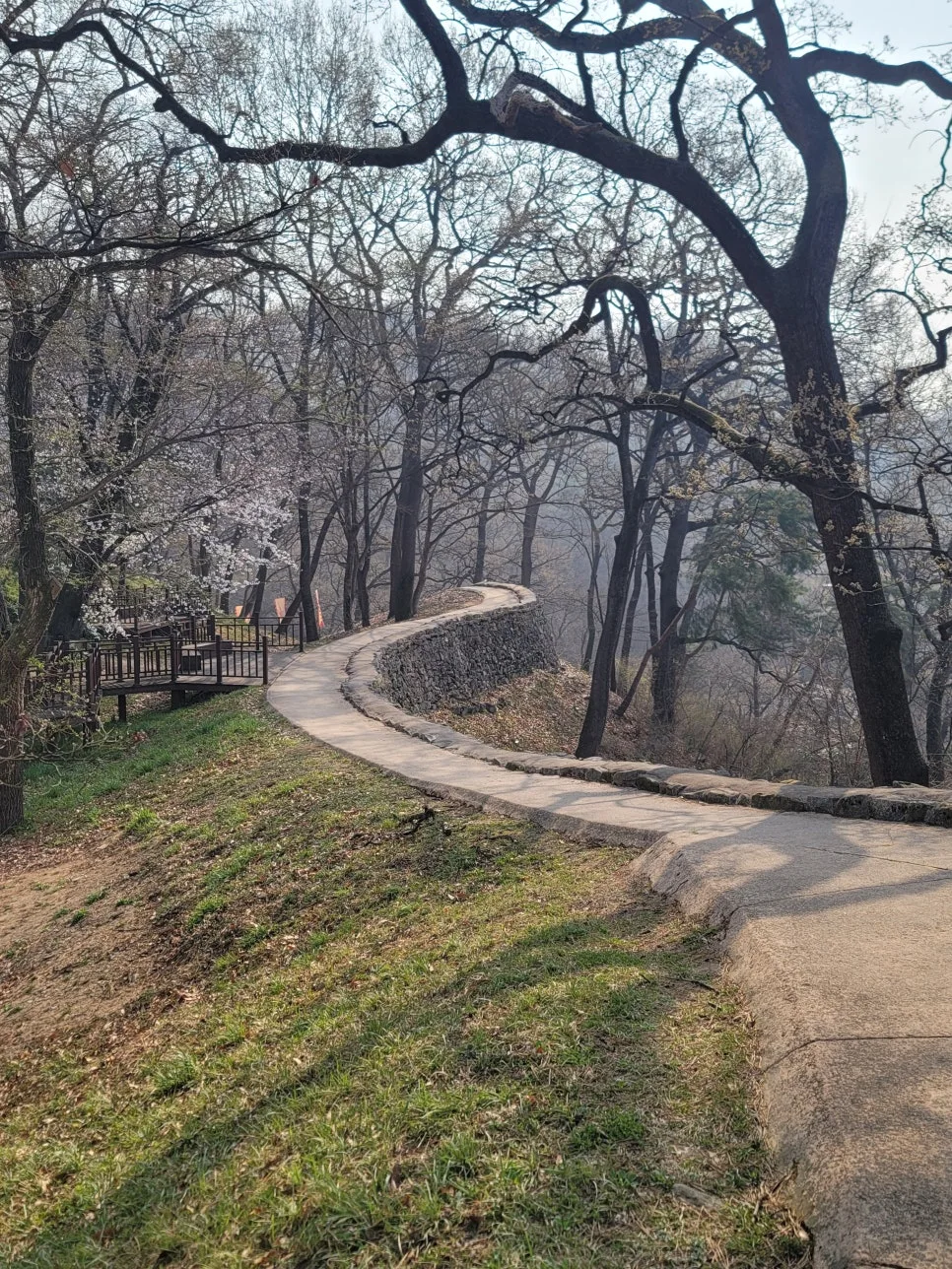 20250404%EF%BC%BF091902.jpg?type=w966