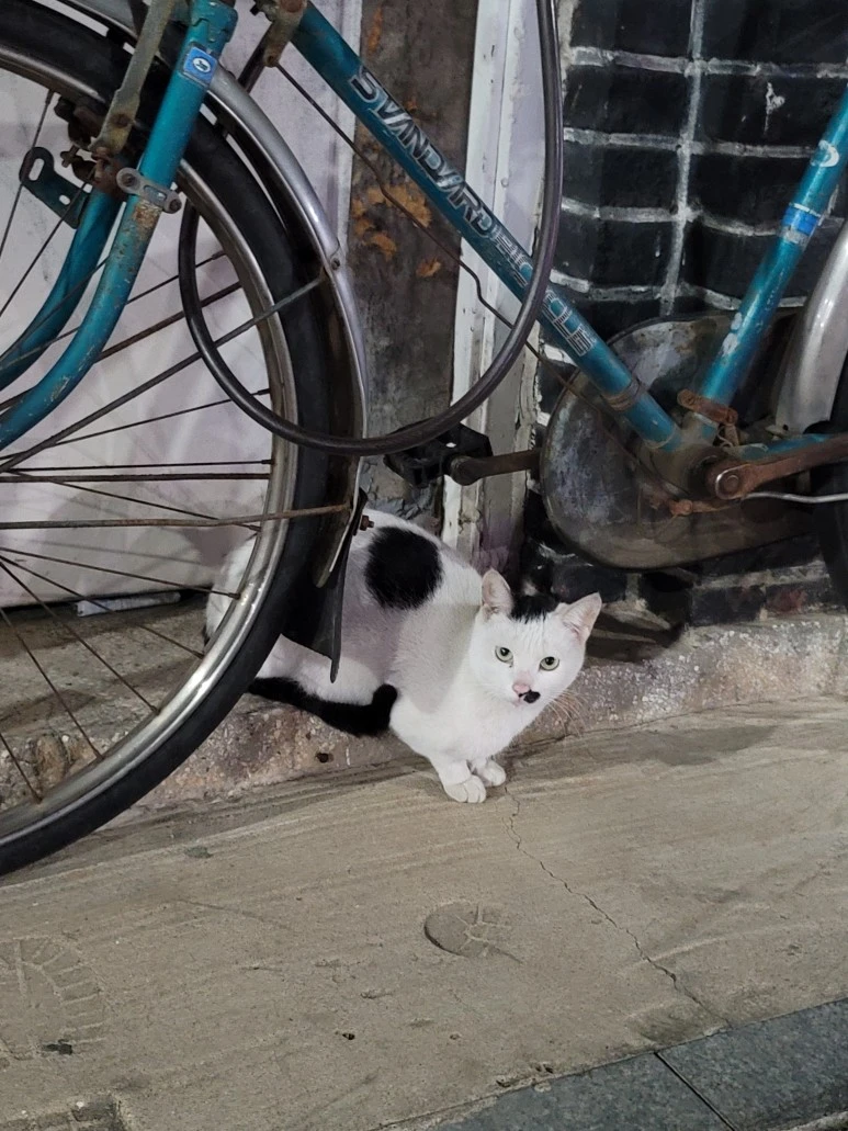 20240315_202020.jpg?type=w773