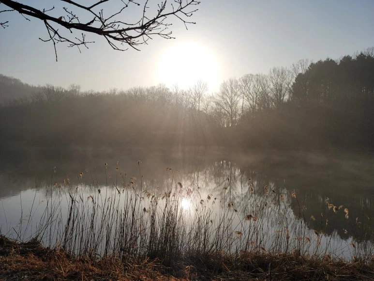 20240316_075513.jpg?type=w773