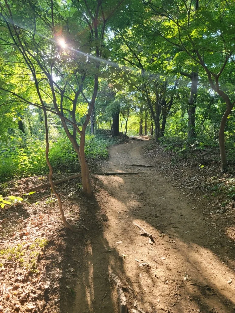 20240531%EF%BC%BF172423.jpg?type=w773