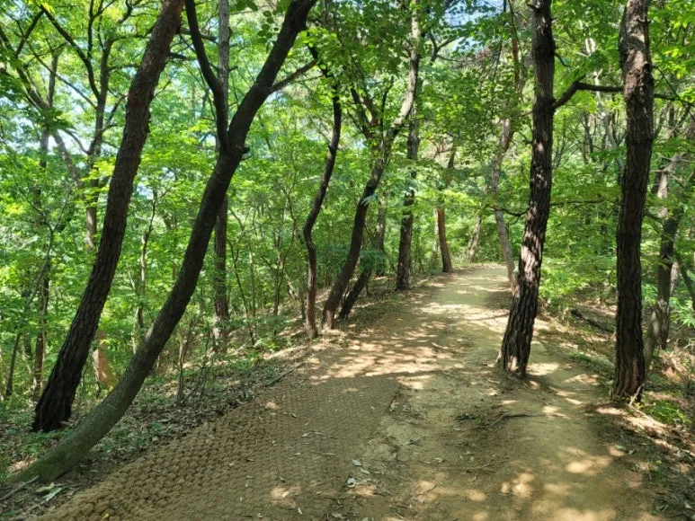 20240602%EF%BC%BF103815.jpg?type=w773