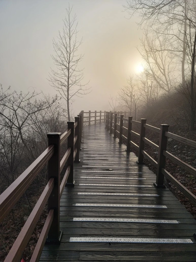 20240316_074045.jpg?type=w773