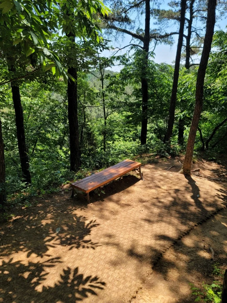 20240602%EF%BC%BF115559.jpg?type=w773