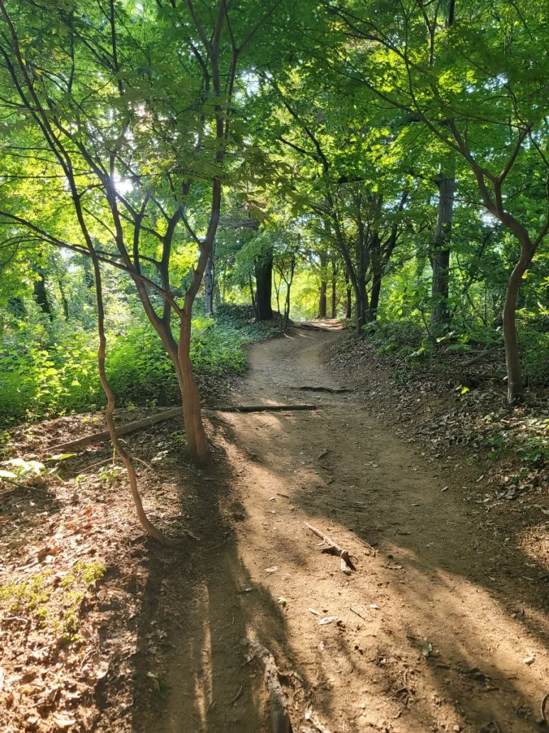 20240531%EF%BC%BF172421.jpg?type=w773