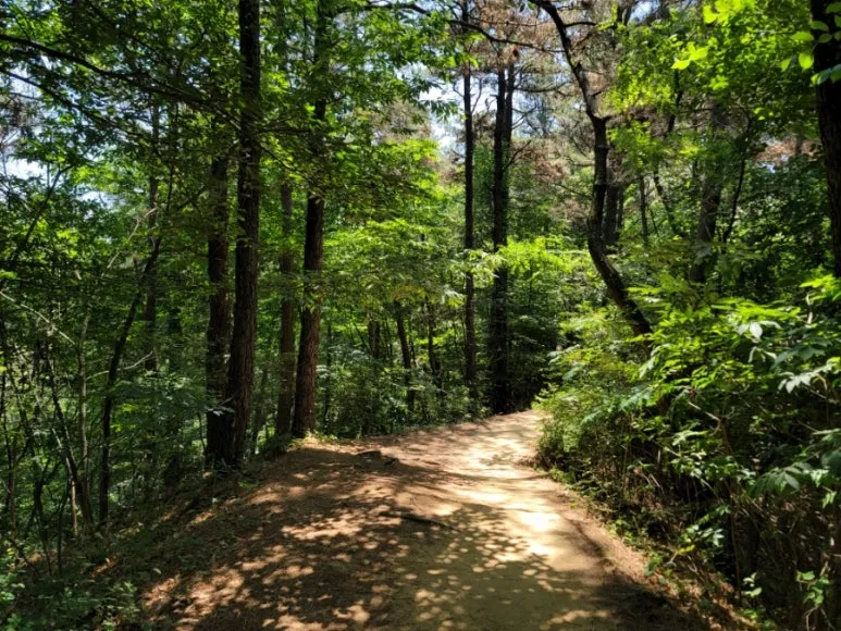 20240602%EF%BC%BF120226.jpg?type=w773