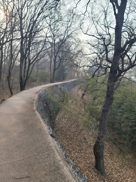 20250404%EF%BC%BF081244.jpg?type=w466