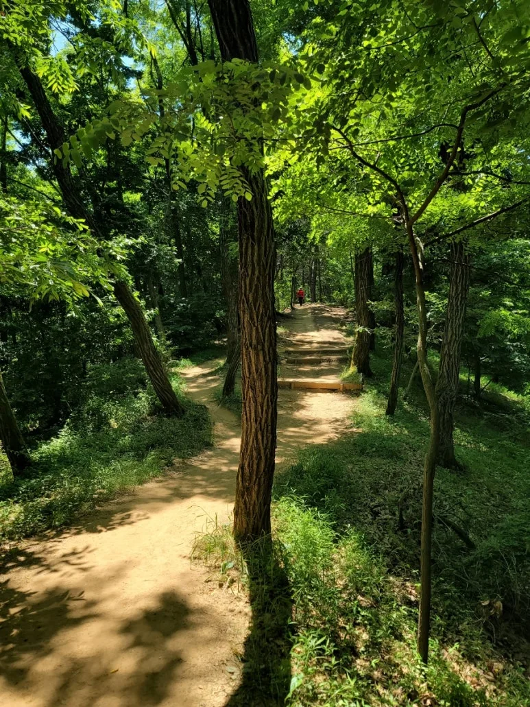 20240602%EF%BC%BF114041.jpg?type=w773