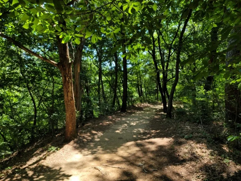 20240602%EF%BC%BF113230.jpg?type=w773