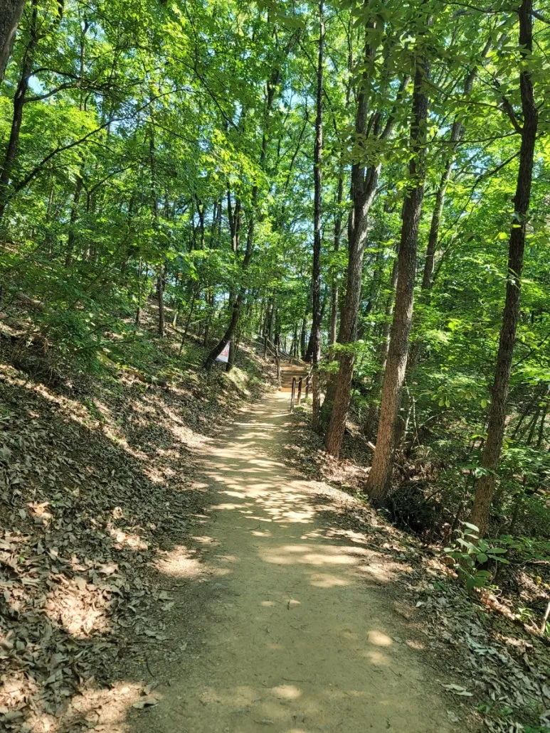 20240602%EF%BC%BF094308.jpg?type=w773