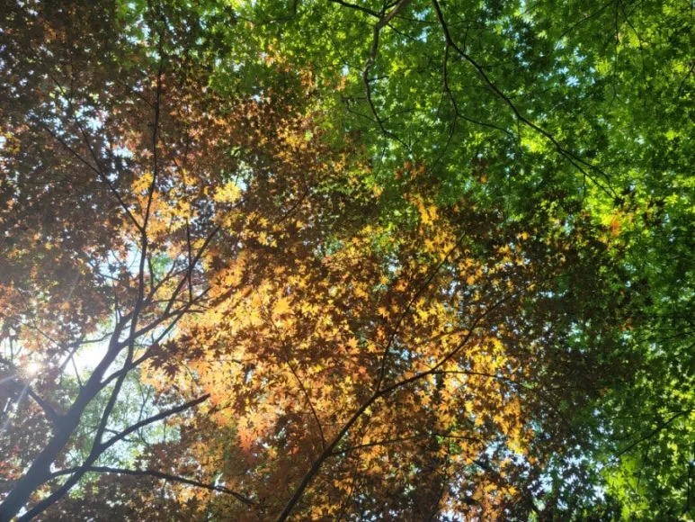 20240531%EF%BC%BF154319.jpg?type=w773