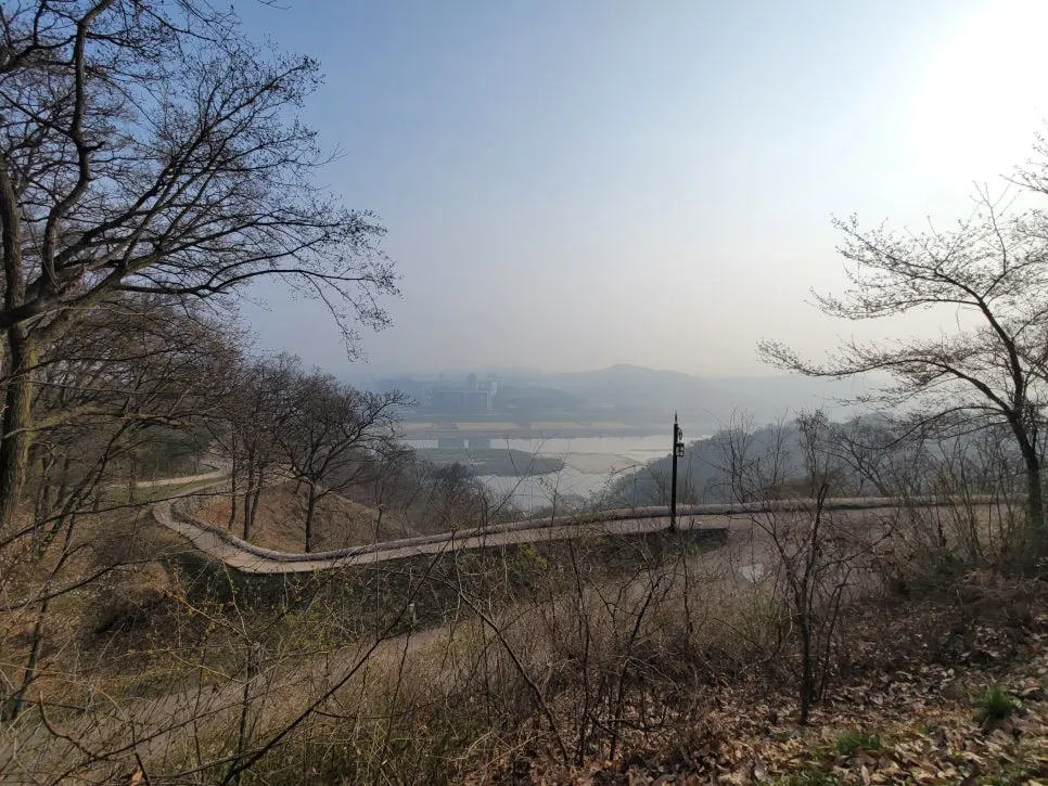 20250404%EF%BC%BF082114.jpg?type=w966