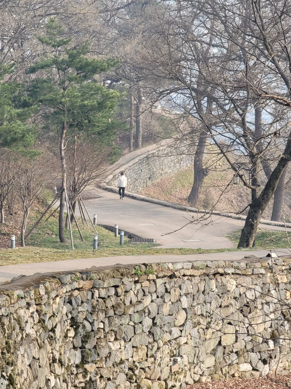 20250404%EF%BC%BF082857.jpg?type=w966