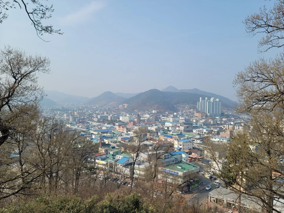 20250404%EF%BC%BF091915.jpg?type=w966