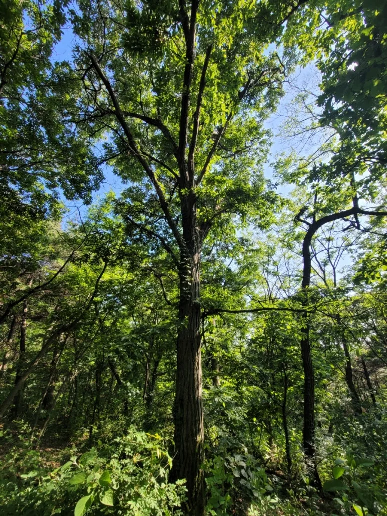 20240531%EF%BC%BF162927.jpg?type=w773