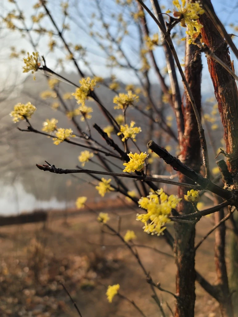 20240316_075422.jpg?type=w773