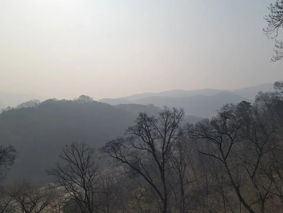 20250404%EF%BC%BF083054.jpg?type=w966