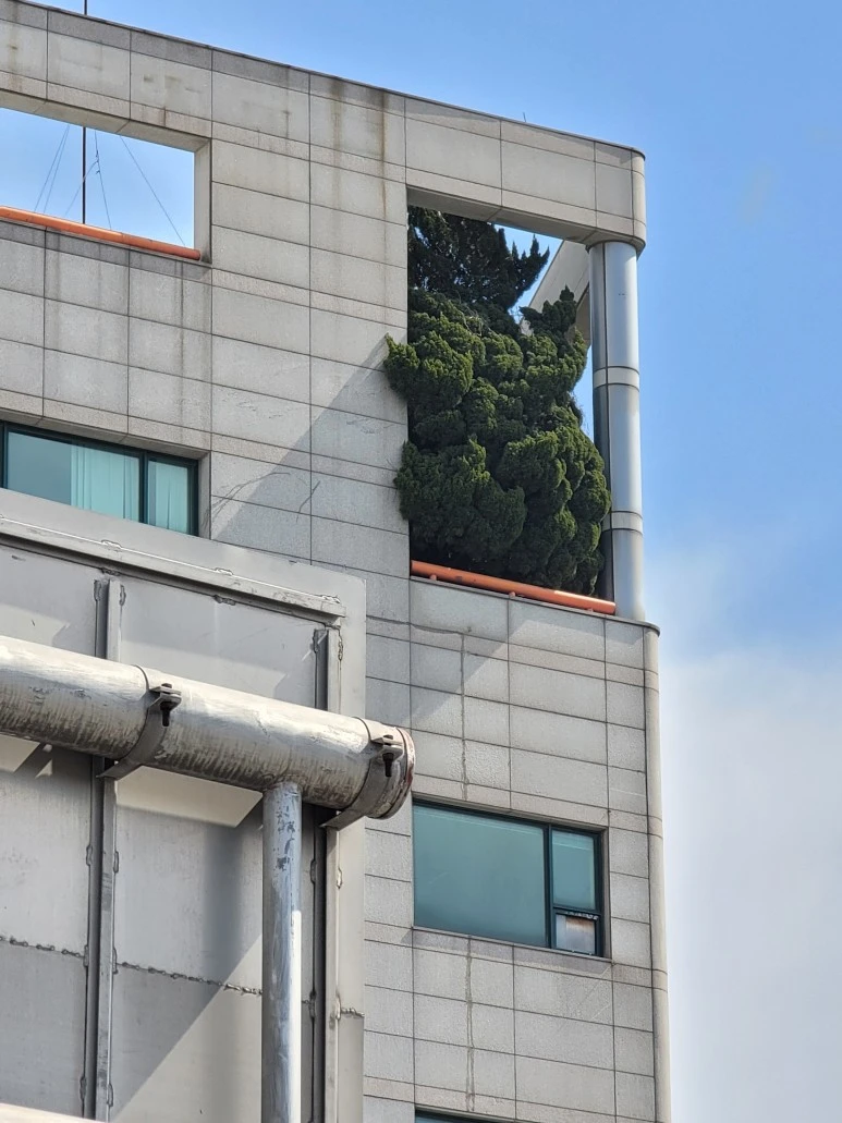 20240316_133928.jpg?type=w773