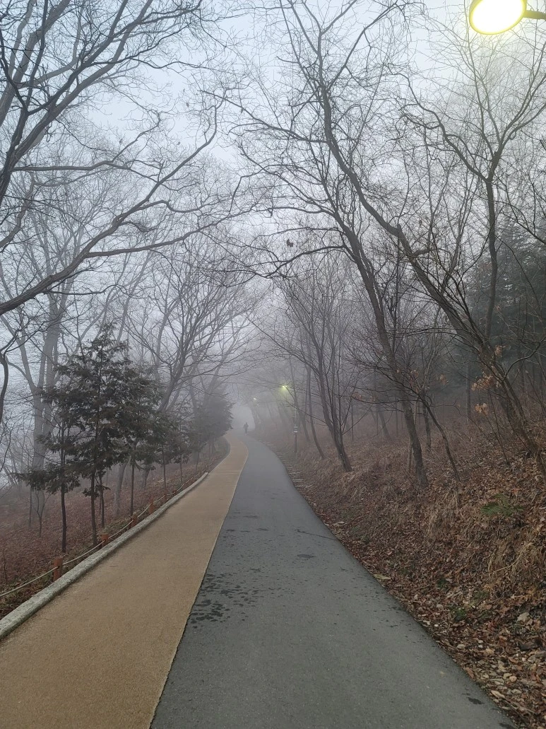 20240316_065853.jpg?type=w773