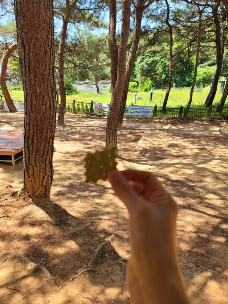 20240602%EF%BC%BF124924.jpg?type=w773