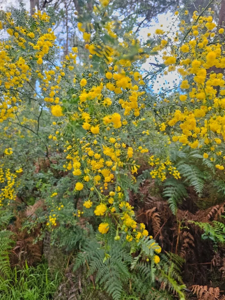 20230808%EF%BC%BF115312.jpg?type=w773