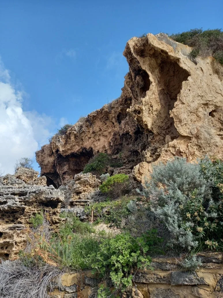 20230808%EF%BC%BF095141.jpg?type=w773