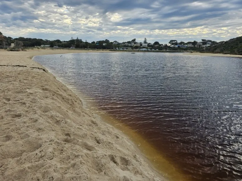 20230808%EF%BC%BF080733.jpg?type=w773