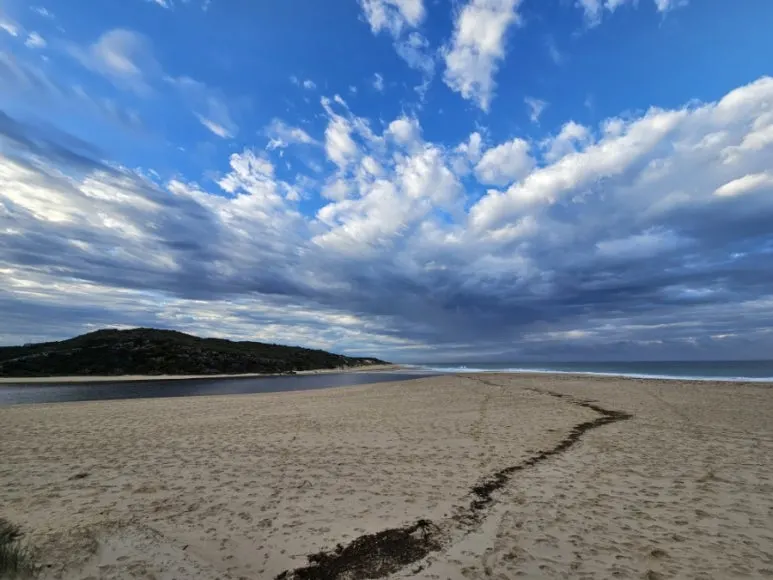 20230808%EF%BC%BF075643.jpg?type=w773