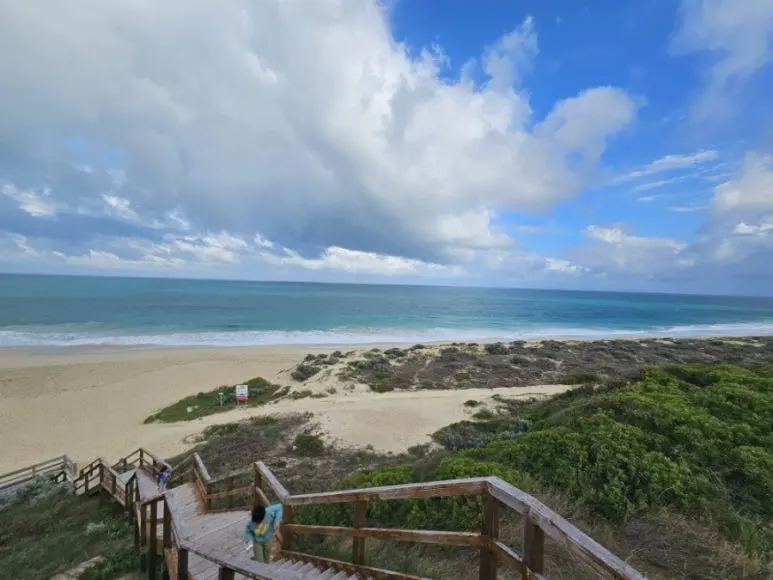 20230808%EF%BC%BF094929.jpg?type=w773