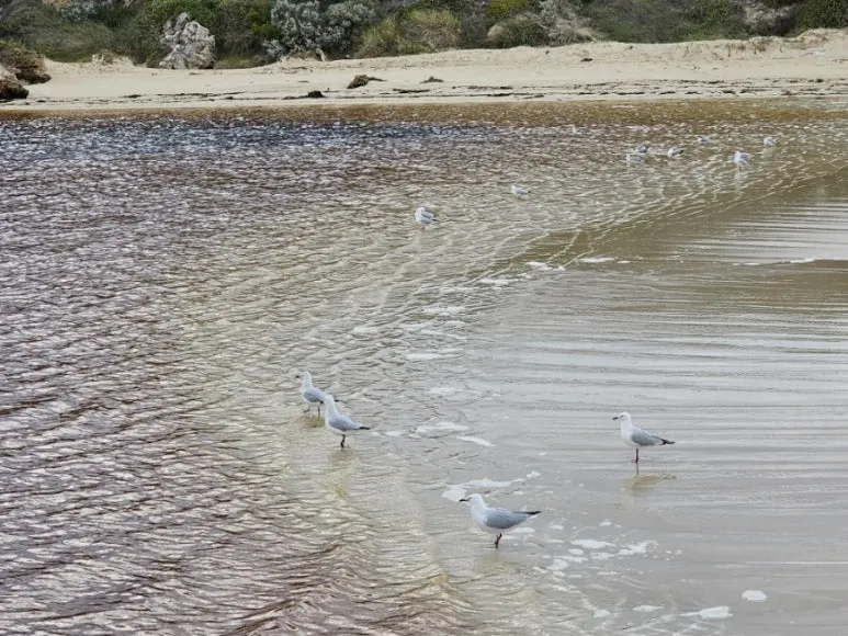 20230808%EF%BC%BF080806.jpg?type=w773