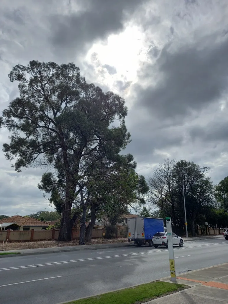 20230807%EF%BC%BF113649.jpg?type=w773