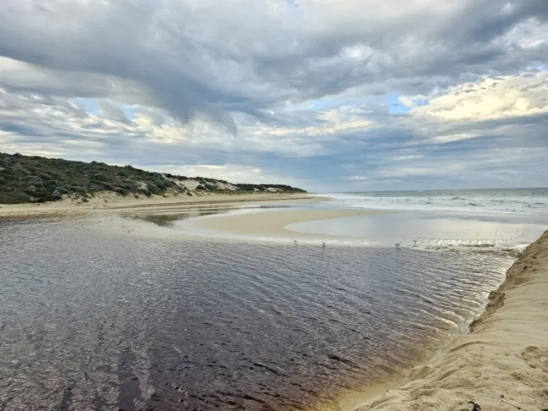 20230808%EF%BC%BF080723.jpg?type=w773