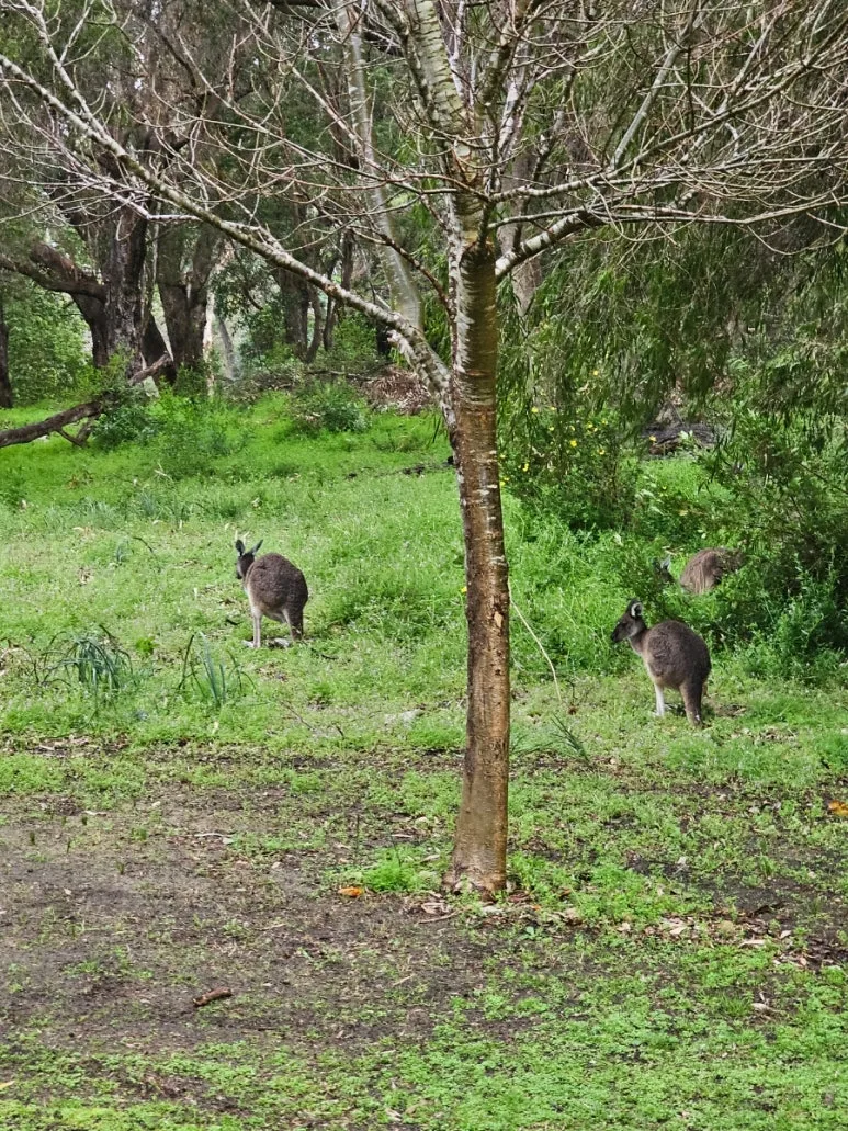 20230808%EF%BC%BF113656.jpg?type=w773