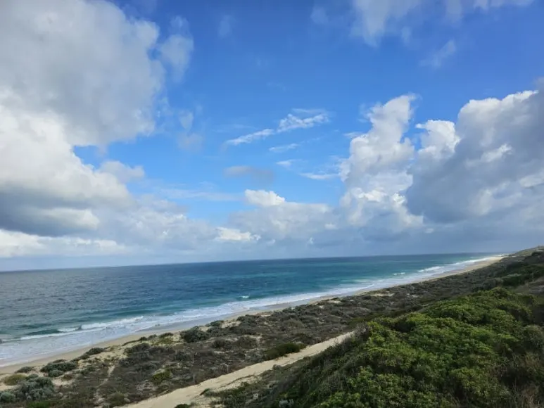 20230808%EF%BC%BF095039.jpg?type=w773