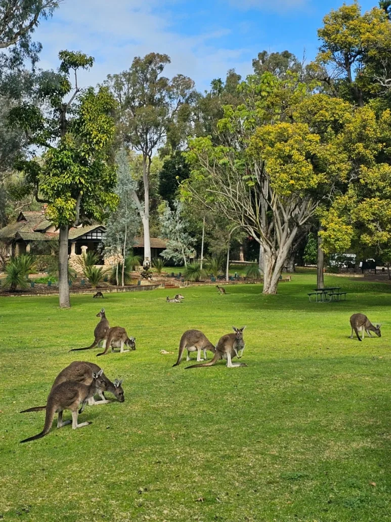 20230808%EF%BC%BF125613.jpg?type=w773