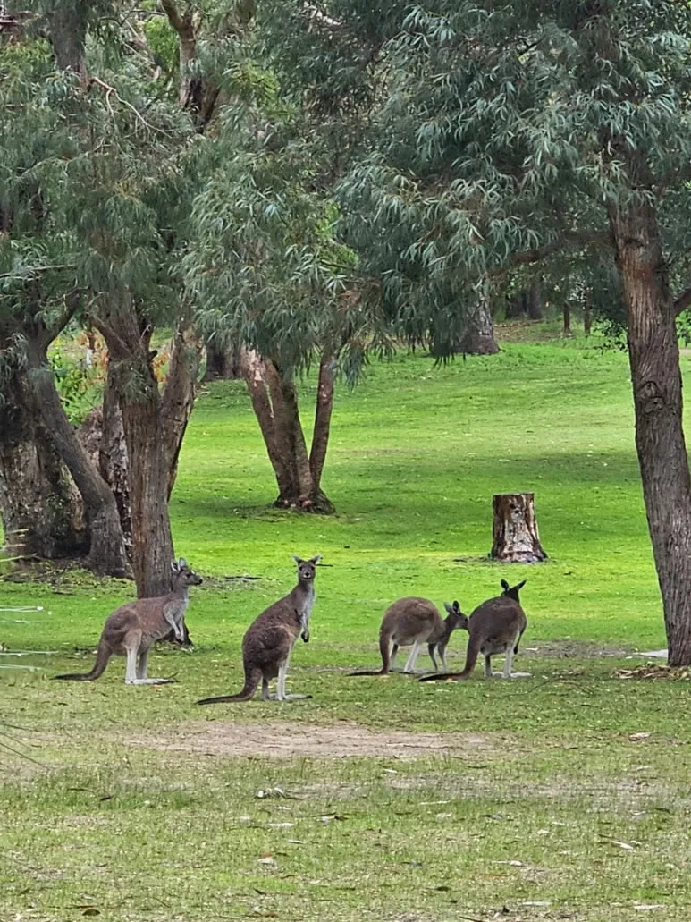 20230808%EF%BC%BF114717.jpg?type=w773