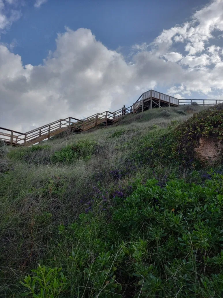 20230808%EF%BC%BF095244.jpg?type=w773