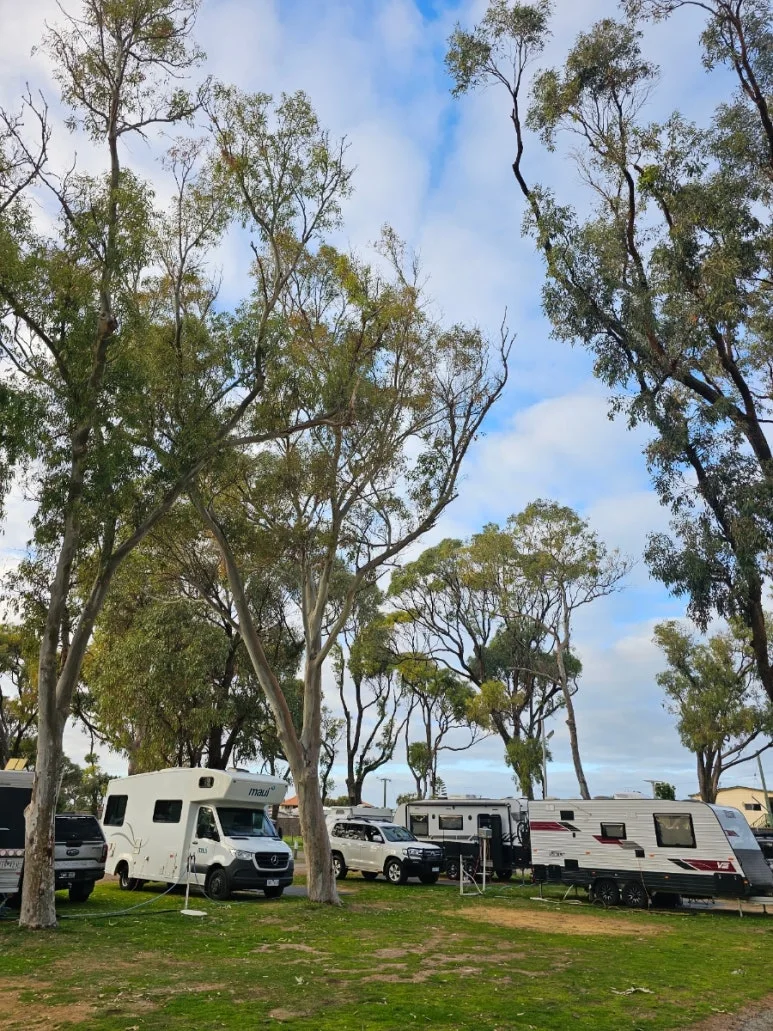 20230809%EF%BC%BF075913.jpg?type=w773