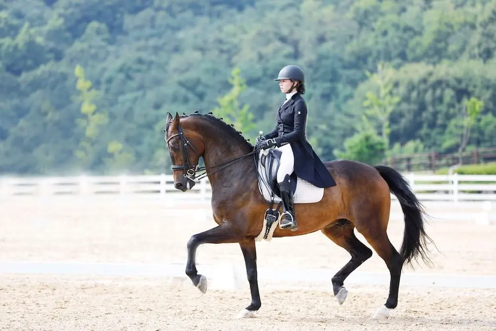 커리지인 승마선수 신이경3.jpeg