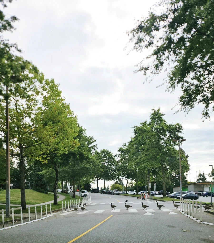 SE-eedf0a3b-674a-11ef-9e5c-ab3fb3c43d5e.jpg?type=w1