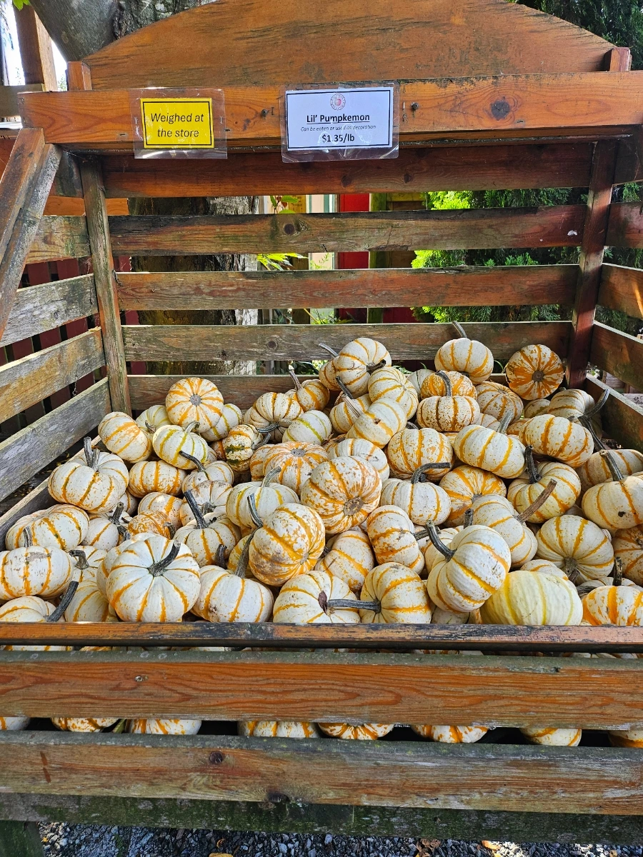 20240930%EF%BC%BF113626.jpg?type=w1