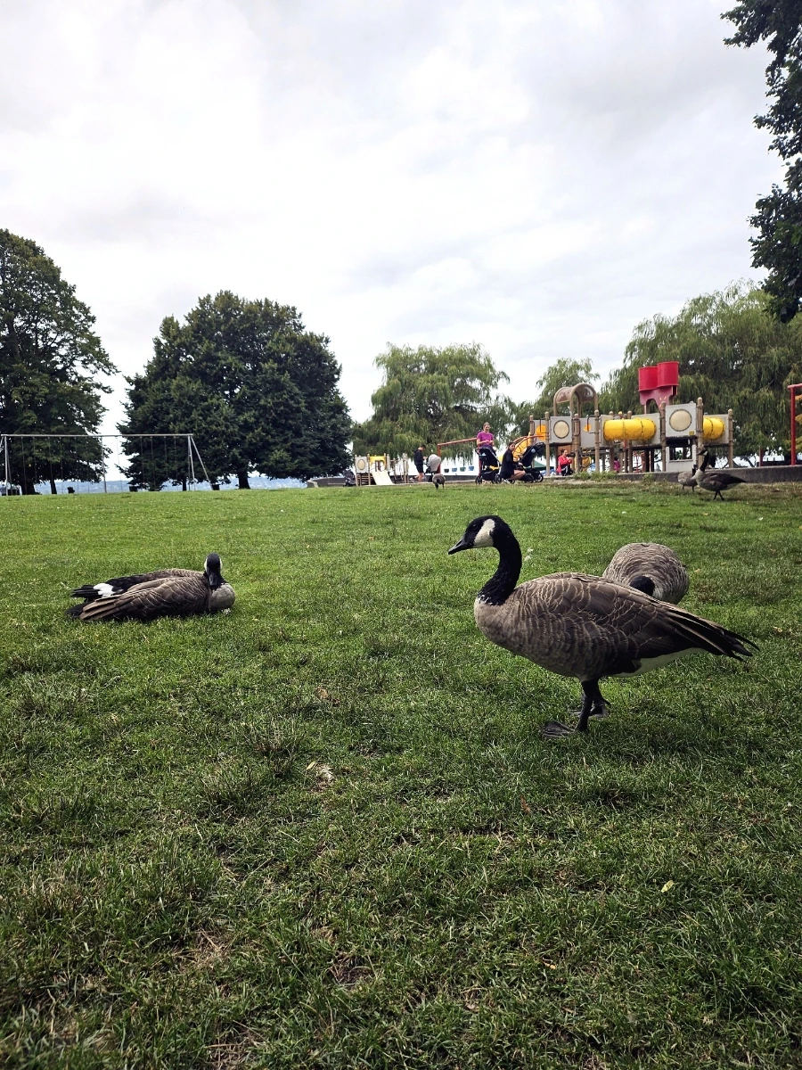 1725075813311.jpg?type=w1