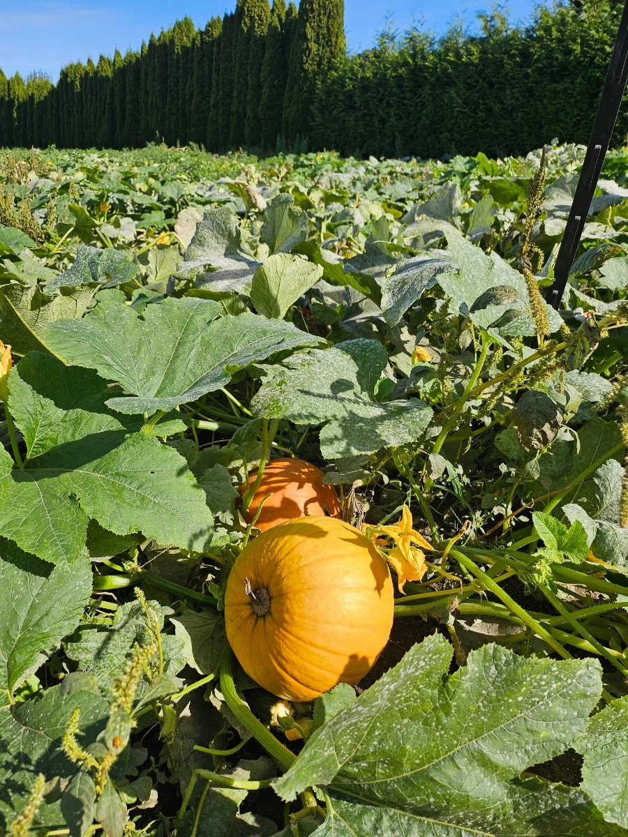 20240930%EF%BC%BF112834.jpg?type=w1