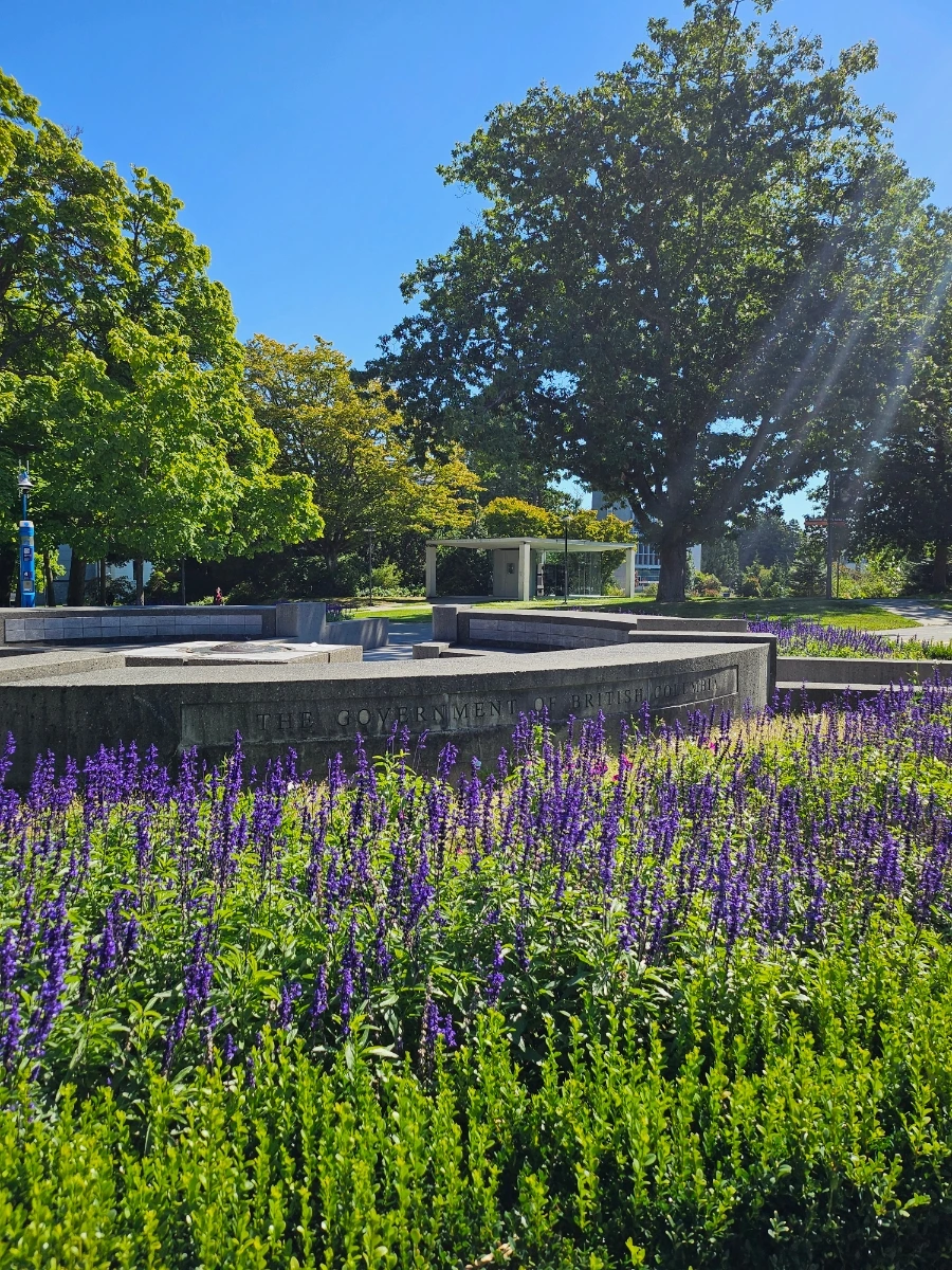 20240831%EF%BC%BF112032.jpg?type=w1