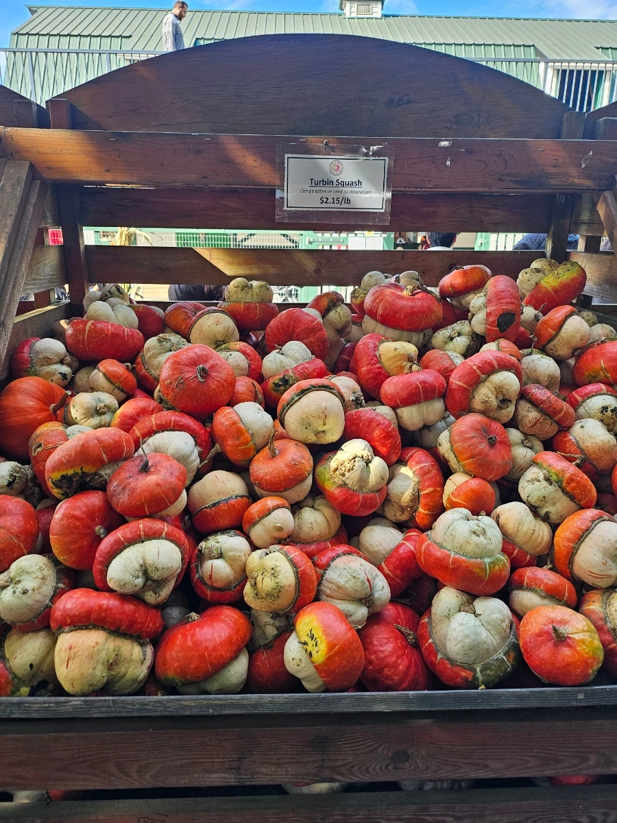 20240930%EF%BC%BF113613.jpg?type=w1